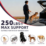 PENSUN Dog Ramp for Car, 71" x 20" Foldable Pet Ramp with Non-Slip Rug Surface, Portable Dog Car Ramp for Medium & Large Dogs Up to 250LBS Enter SUV Car & Truck