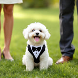 GLIDESMOOTH Dog Tuxedo for Wedding, Pet Tuxedo Suit with Bow Tie, Pet Costumes for Small Dogs, Formal Party Attire for Halloween Christmas, Medium, Black White