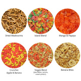 Treat Assortment 6 Pack - Pet Treat with Mix of Dried Fruits, Dried Insects, & Other Crunchies - For Sugar Gliders, Hedgehogs, Squirrels, Rabbits, Marmosets, Rats, Hamsters - Sample Variety