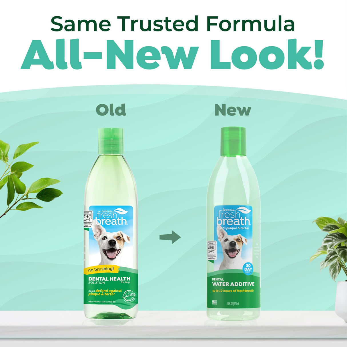 TropiClean Fresh Breath Water Additive for Dogs, Dog Breath Freshener and Teeth Cleaning Solution, No Toothpaste or Toothbrush Required, 16oz.