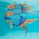 Queenmore Dog Life Jacket Large, Pet Pool Float with Chin Float, Large Dog Life Vest for Swimming, Adjustable Ripstop Pet Life Vest for Water at Pool, Beach, Boating (Blue,XL)