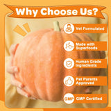 ZEBORA Pumpkin for Dogs - Natural Fiber for Dogs and Cats, Apple, Dog Probiotics for Digestive Health, Support Firm Stool, Diarrhea, Constipation, Add Water to Make Pumpkin Puree for Dogs, 10.58 oz