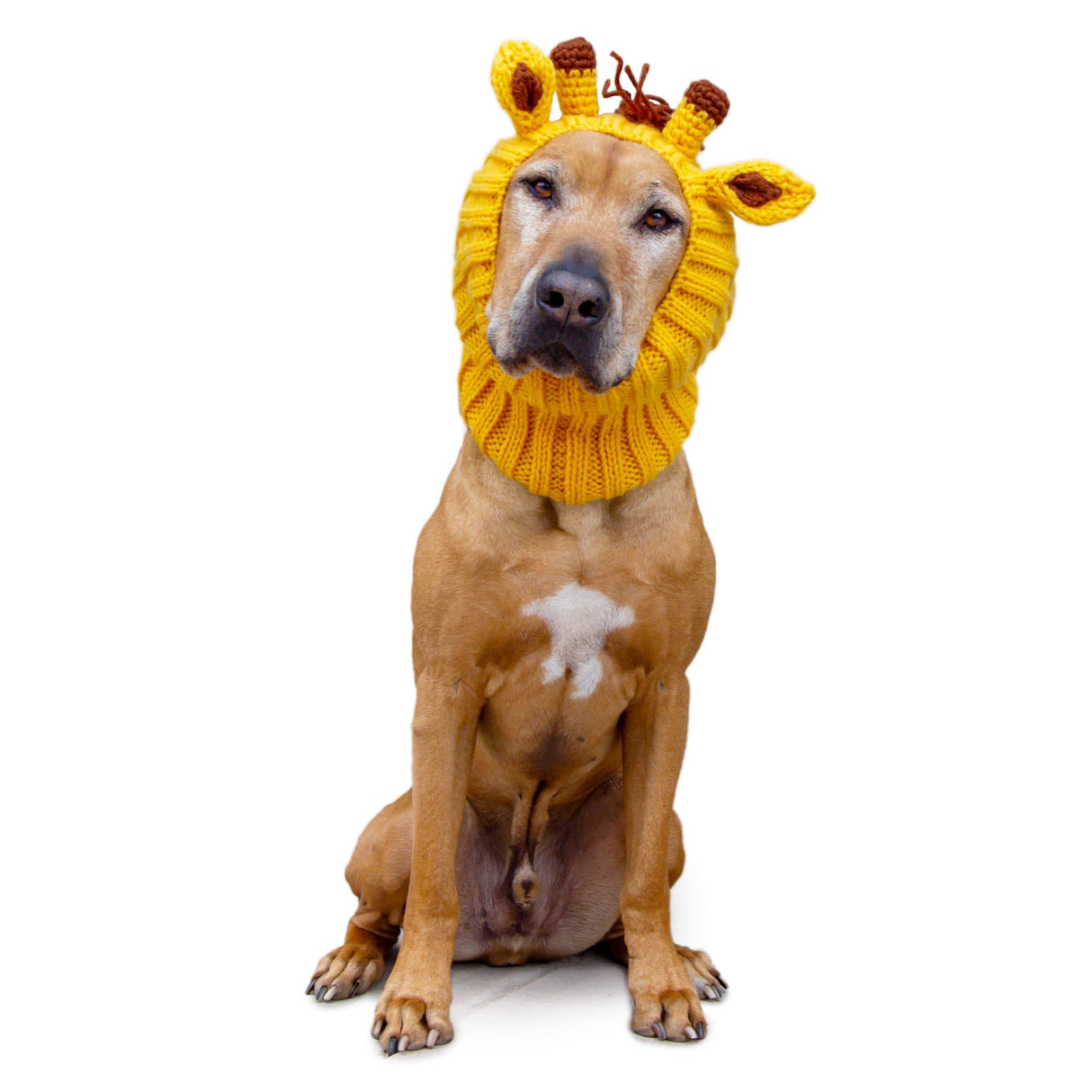 Zoo Snoods Giraffe Costume - Knit Dog Snood Ear Wrap for Pets, Warm Neck Cover for Halloween and Winter (Large)
