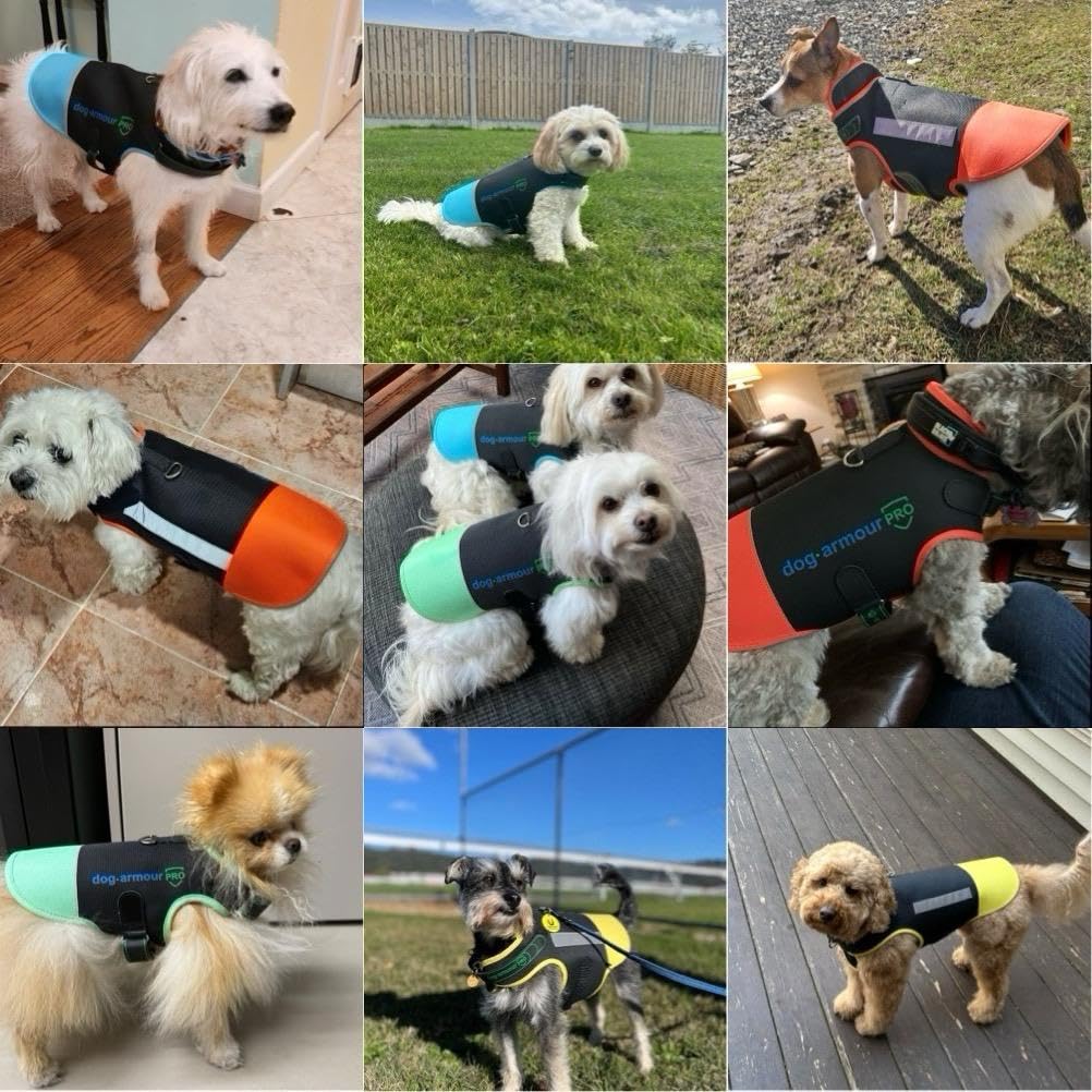 dog armour PRO Protective Dog Harness Vest for Dogs – Shield Your Pet from Raptor and Animal Attacks – Adjustable, Choke Free, Waterproof, Reflective (Small, Green)