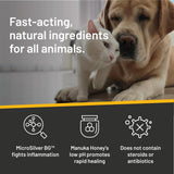 Absorbine Silver Honey Rapid Ear Care Vet Strength Pet Wipes, 50ct, Manuka Honey & MicroSilver BG
