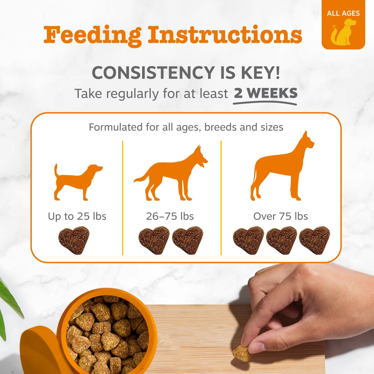 Zesty Paws Scoot Away Soft Chews - Healthy Bowel Function with Bromelain, Vita Fiber for Dogs, & Dandelion Root for Dog Digestive Support and Gut Health - 90 Soft Chews