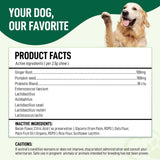 My Dog Sanctuary Probiotics for Dogs 120 Chews - Digestive Enzymes & Gut Health Support with Pumpkin Seed, Ginger Root – Dog Probiotics for Diarrhea, Bowel & Immune Support - Bacon Flavor, Soft Chews