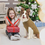 SCENEREAL Dog Sweater for Large Medium Small Dogs Girls Boys, Knitted Dog Winter Coat Warm Sweatershirts Outfits, Classic Pet Clothes with Leash Hole, Soft Pet Knitwear Apparel, Beige SM