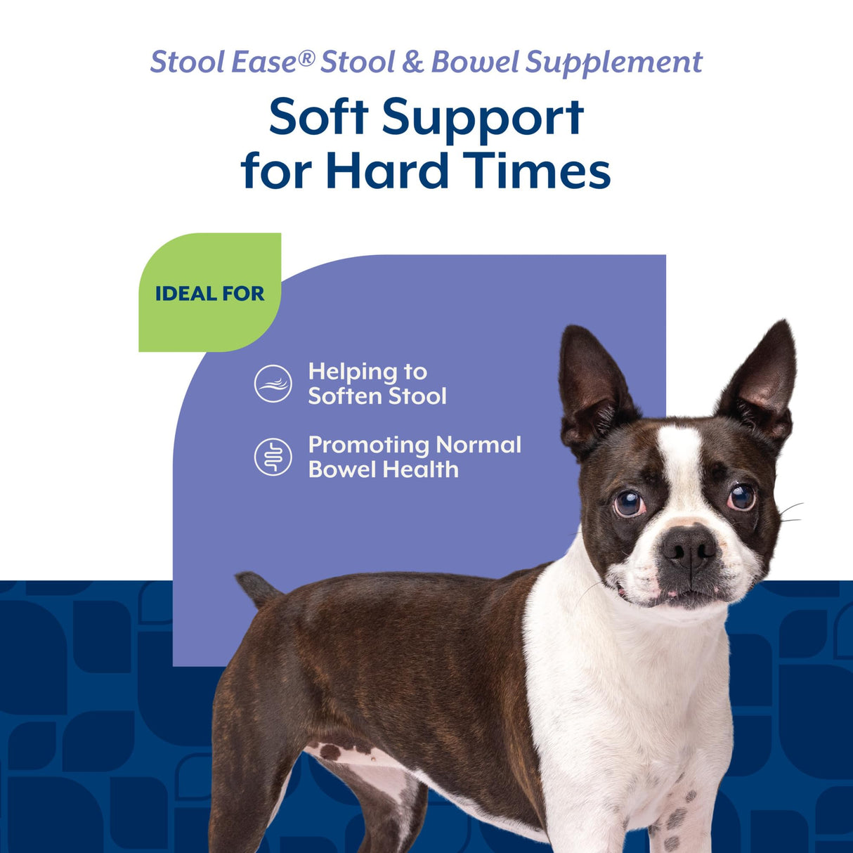 NaturVet – Stool Ease for Dogs – 40 Soft Chews – Helps Maintain Regular Bowel Movements – Enhanced with Sugar Beet Pulp, Flaxseed & Psyllium Husk – 40 Day Supply