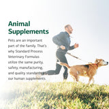 Standard Process Canine Adrenal Support - Nutritional Canine Supplement for Liver & Kidney Support - Powder Formula to Aid Dog's Adrenal Glands & Health - 100 g