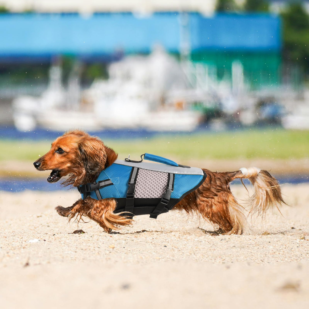 Queenmore Dog Life Jacket Vest for Swimming Boating Kayaking, Small Medium Doggie Puppy Life Preserver Lifesaver Pet PFD Lifejacket Safety Water Vest Pool Floatie (New Blue,L)