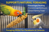 5lbs Wholesome Spray Millet for Birds – USA Grown, Harvested & Packed – 100% Natural Sun-Dried Millet Clusters – for Parakeets, Cockatiels, Conures, Budgies, Finches & All Parrots