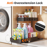 Under Sink Organizer 2 Pack, 2 Tier Cabinet Organizer with Sliding Basket, Multi-Purpose Sink Storage Basket with 4 Hooks for Kitchen Bathroom, Black
