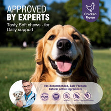 Load image into Gallery viewer, Dog Allergy Chews 200ct - Dog Allergy and Itching Skin Relief Anti Itch Aller Immune Bites for Dogs licking Paws Treatment Relief Itchy Chew Probiotics Vitamins for Skin and Coat Allergies - Chicken
