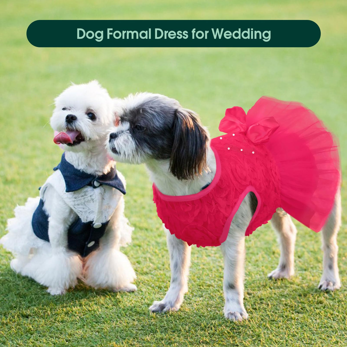 Kuoser Dog Dress Pet Wedding Dresses, Adorable Tutu Shirts for Small Medium Girl Dogs, Puppy White Princess Outfits with Luxury Lace Pearl Bow, Retro Pet Costumes for Birthday, Party, Wedding