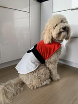 ComfyCamper Red and White Dog Costume - X Large Medium Small French Lab Retriever Pet Cosplay Halloween Costumes Ball (Medium, Cape)