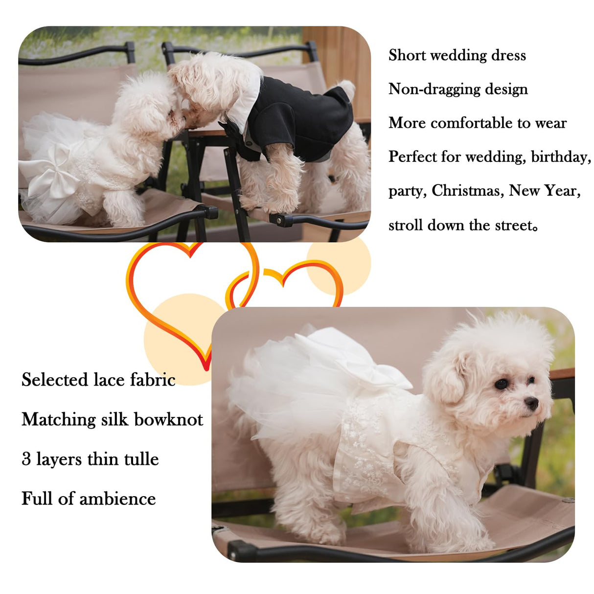 Dog Dress Wedding Outfits, Princess Lace Tutu Strappy Skirt for Female Puppy Small Medium Dogs Girl Cats Costume (Embroidery Dress, Medium)
