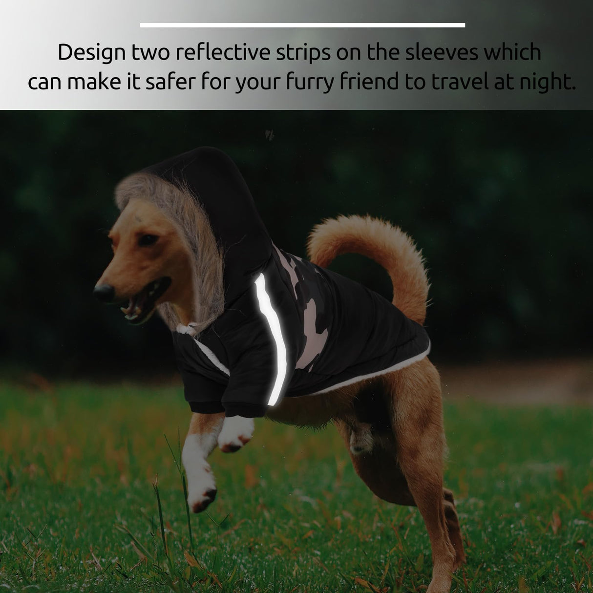 Queenmore Warm Dog Winter Coat, Cold Weather Waterproof Dog Snow Jacket, Reflective Dogs Hoodie with Long Sleeves for Small Medium and Large Dogs