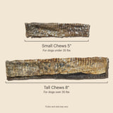 The Honest Kitchen Human Grade Ocean Chews Crispy Cod Fish Skins Dog Treats, 5.5 Ounces