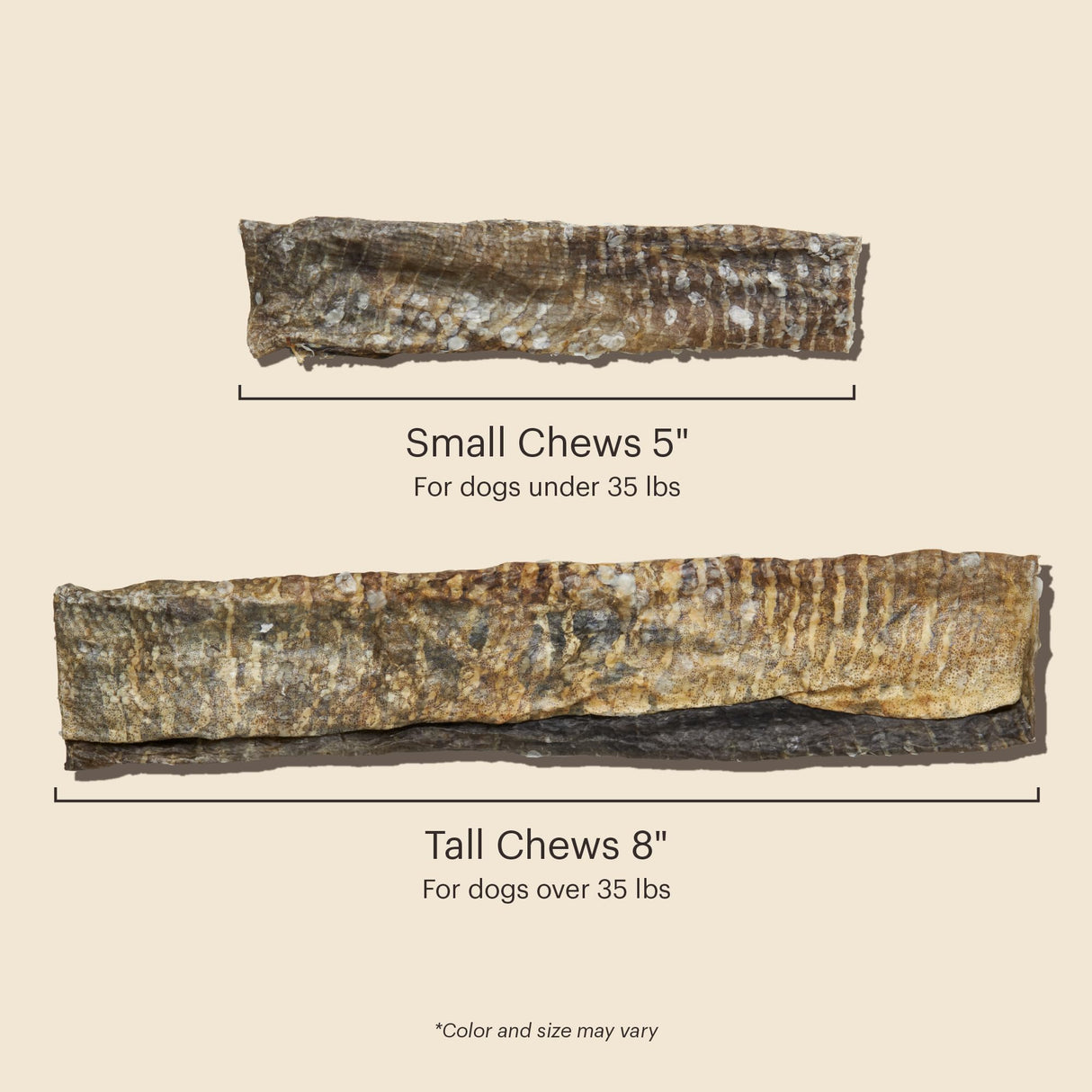 The Honest Kitchen Human Grade Ocean Chews Crispy Cod Fish Skins Dog Treats, 5.5 Ounces