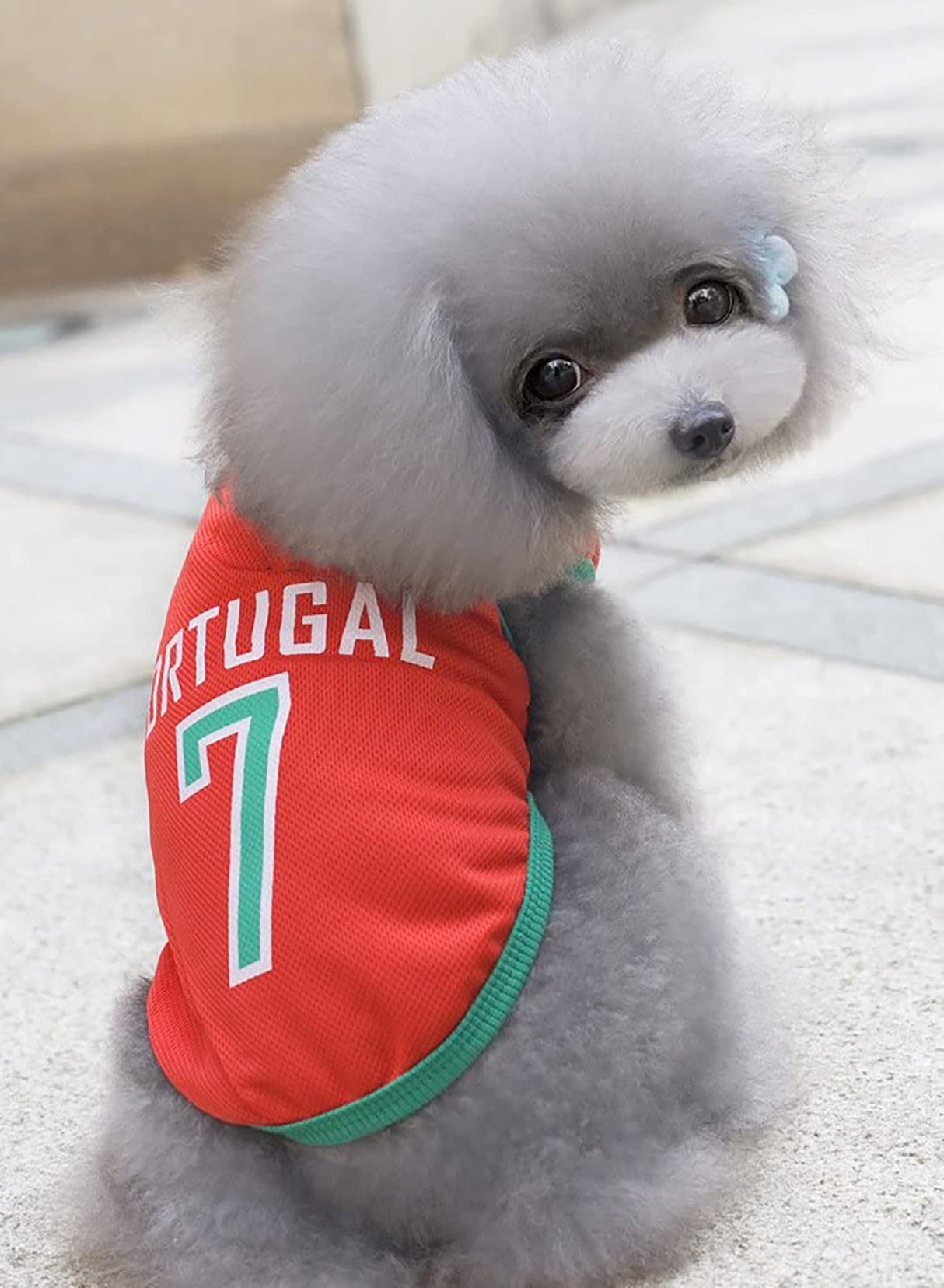 GabeFish Dog World Cup T Shirt Pets Football Jersey Sports Soccer National Team Vest Cat Summer Cool Clothes Apparel Portugal X-Small