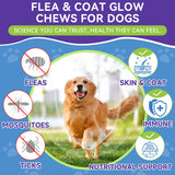 Flea and Tick Prevention for Dogs, Dog Flea Treatment with Skin & Coat Support 500 Crunchy & Krill Chews Dog Flea and Tick Treatment Chewable for Immunity & Energy for All Breeds & Ages Chicken Flavor