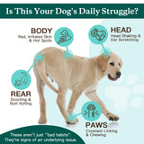 NATURE TARGET Dog Allergy Chews - Dog Allergy Relief, for Skin, Coat, Anti-Itch, Seasonal Allergies, Scratching, Pawlicking, 180 Freeze Dried Chews