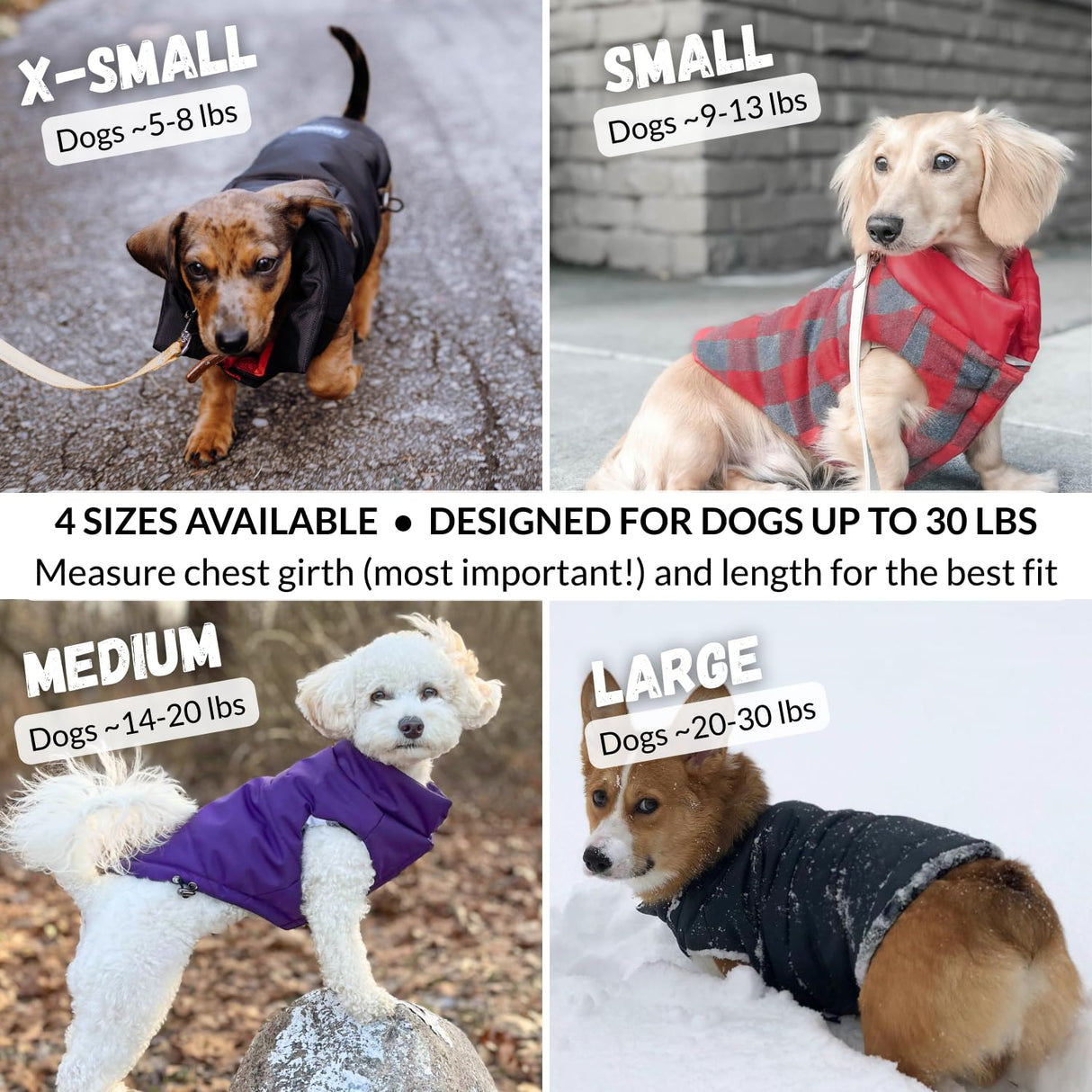 DJANGO Reversible Puffer Dog Coat – Warm Winter Dog Jacket & Water-Repellent Insulated Dog Coat w/Harness Hole, Windproof, Adjustable Fit for Small & Medium Dogs, Dachshunds – Violet Purple, Large