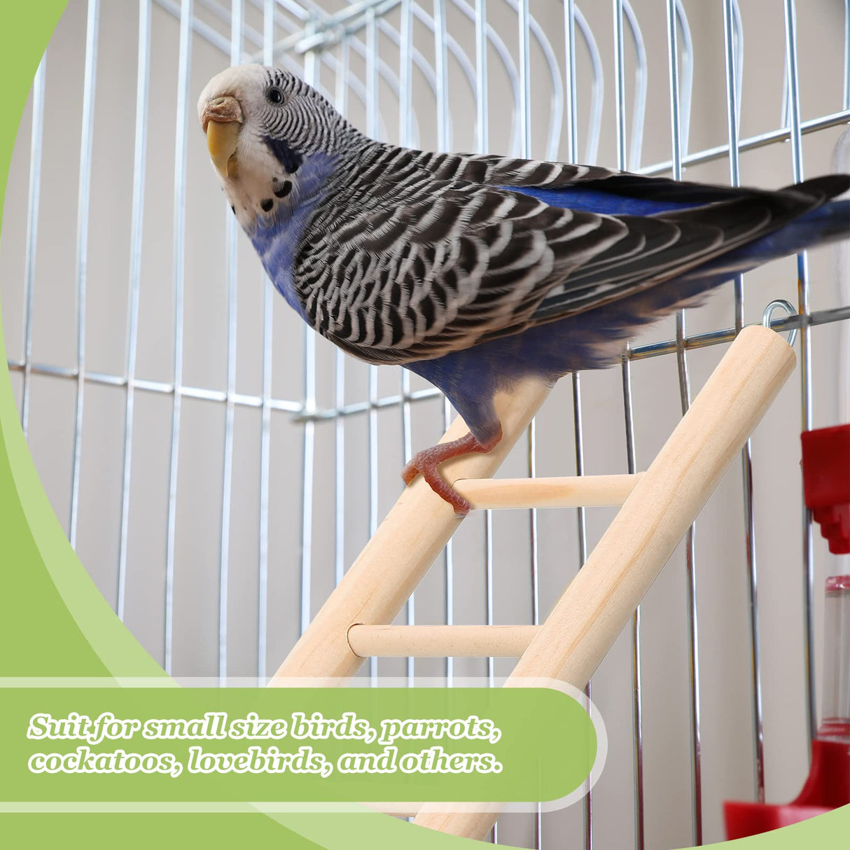 Kigeli 6 Pcs Wood Step Ladder for Bird, Hanging Bird Ladder Parrot Step Cage Hanging Climbing Toys for Parakeets, Parrots, Cockatoo and Lovebirds