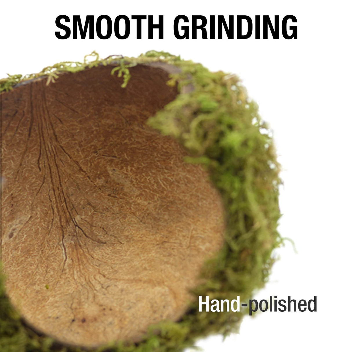 SanmooAio Hamster Hideout - Large, Natural Moss, Handcrafted for Syrian Hamsters, Rats & Guinea Pigs, Safe & Eco-Friendly