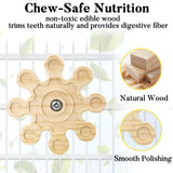 Jevnd 2pcs Rotating Natural Wood Chinchilla Chew Toys for Teeth, Interactive Enrichment Toys, Hanging Exercise Chinchilla Toys for Cage for Playtime, Spinner Cage Accessories Wheel