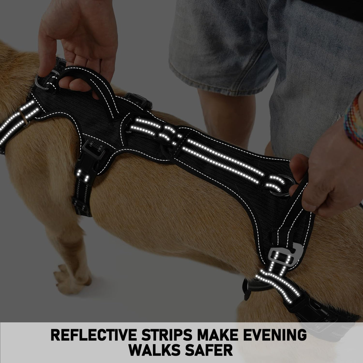 COODEO Mobility Dog Lift Harness, Support Sling & Walking Sling for Dogs, Pet Rear Leg Rehabilitation Support Vest, Dog Carrier for Senior Dogs with Joint Injuries, Arthritis, Up Stair (Black, XL)