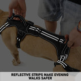 COODEO Mobility Dog Lift Harness, Support Sling & Walking Sling for Dogs, Pet Rear Leg Rehabilitation Support Vest, Dog Carrier for Senior Dogs with Joint Injuries, Arthritis, Up Stair (Black, XL)