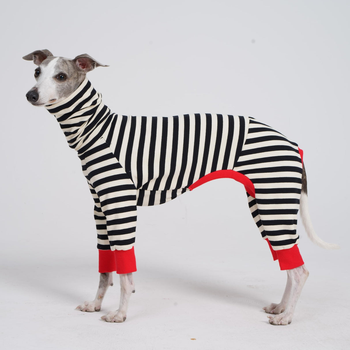 ESCCBOO Italian Greyhound Onesie Clothes, Turtleneck Striped Shirt for Whippets Puppy, Light and Thin Shirt for Spring and Summer (Small)
