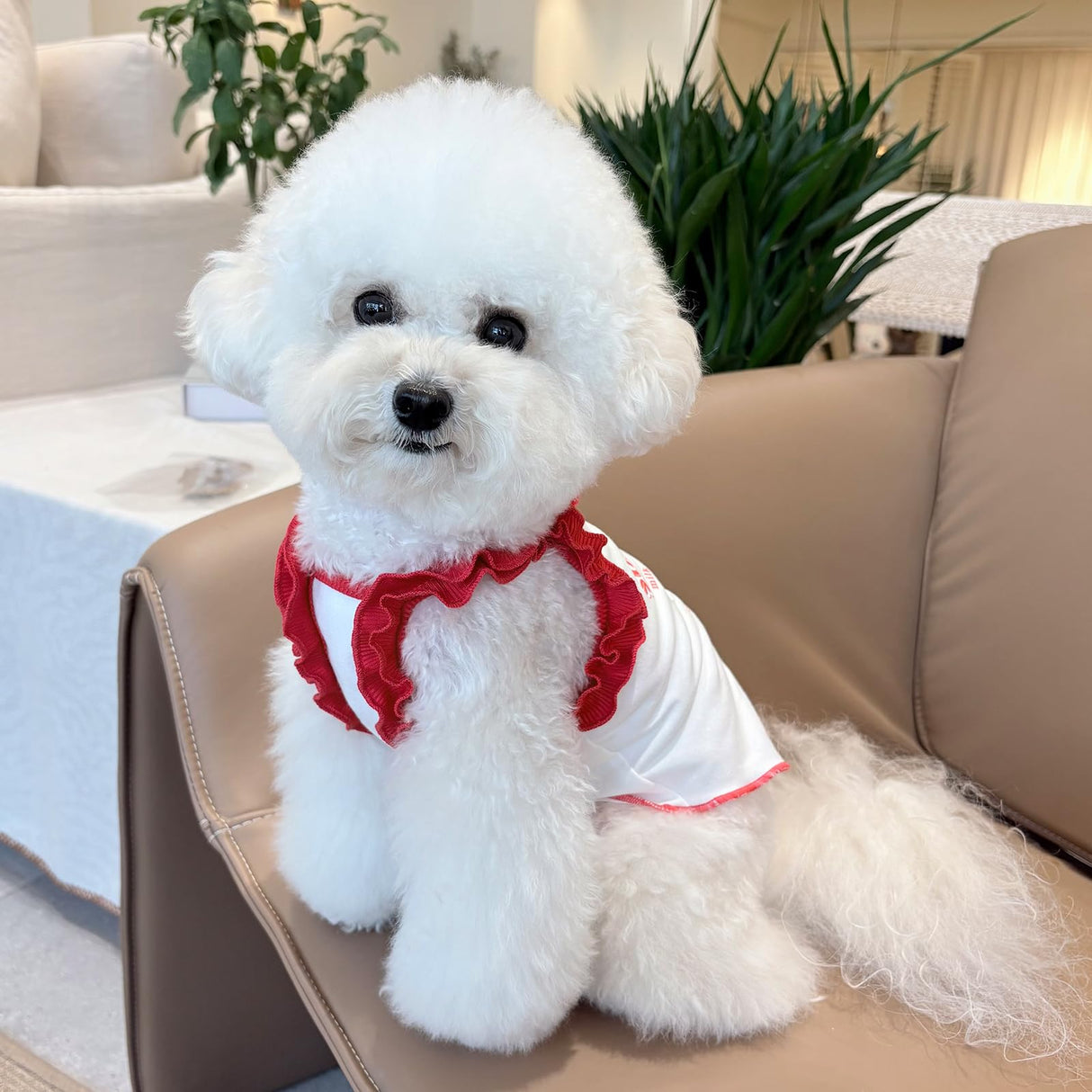 Cute Strawberry Dog Tank Top, Ruffled Edge Pet Clothes for Small Dogs Cats, Adorable Puppy Apparel with Cherry Decoration (XX-Large)