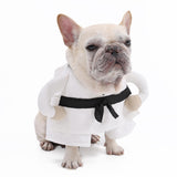 ETIAL Martial Arts Pet Costume for Halloween - Karate Uniform with Adjustable Self-Adhesive Strap for Dogs & Cats - Funny Animal Costume Easy On/Off M
