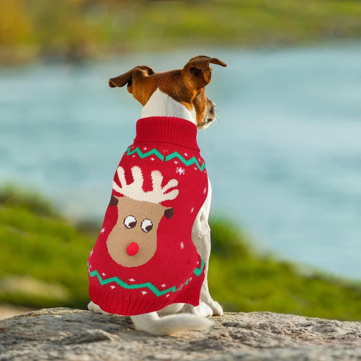 YUEPET Christmas Dog Sweaters Pullover, Reindeer Snowflake Christmas Outfits with Leash Hole, Classic Turtleneck Dog Clothes for Puppies Medium Dogs(XL)