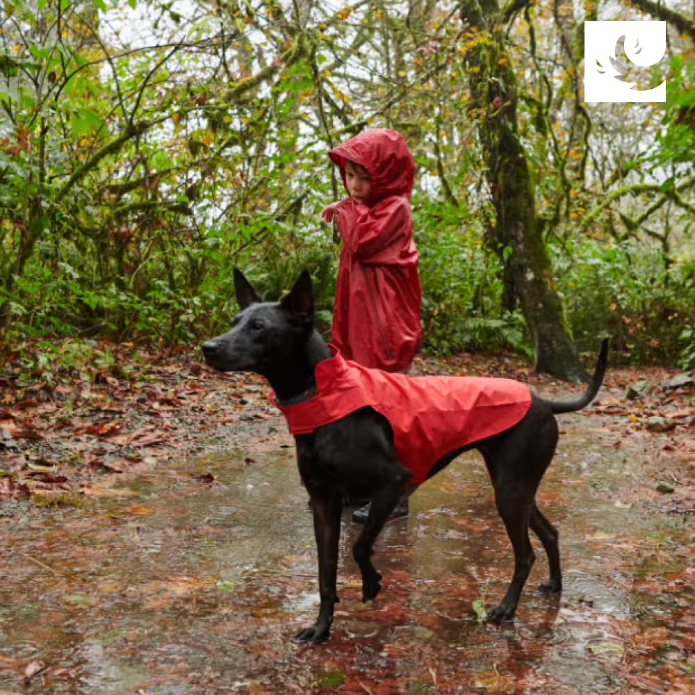 RC Pets Delta Rain Slicker, Water-Resistant Dog Raincoat, Medium, Lemon