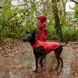 RC Pets Delta Rain Slicker, Water-Resistant Dog Raincoat, Medium, Lemon