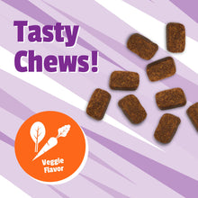 Load image into Gallery viewer, Pet Naturals Daily Multivitamin for Dogs, Veggie Flavor, 150 Chews - Yummy Chews with Amino Acids, and Antioxidants - Supports Energy, Metabolic Function and Pet Wellness
