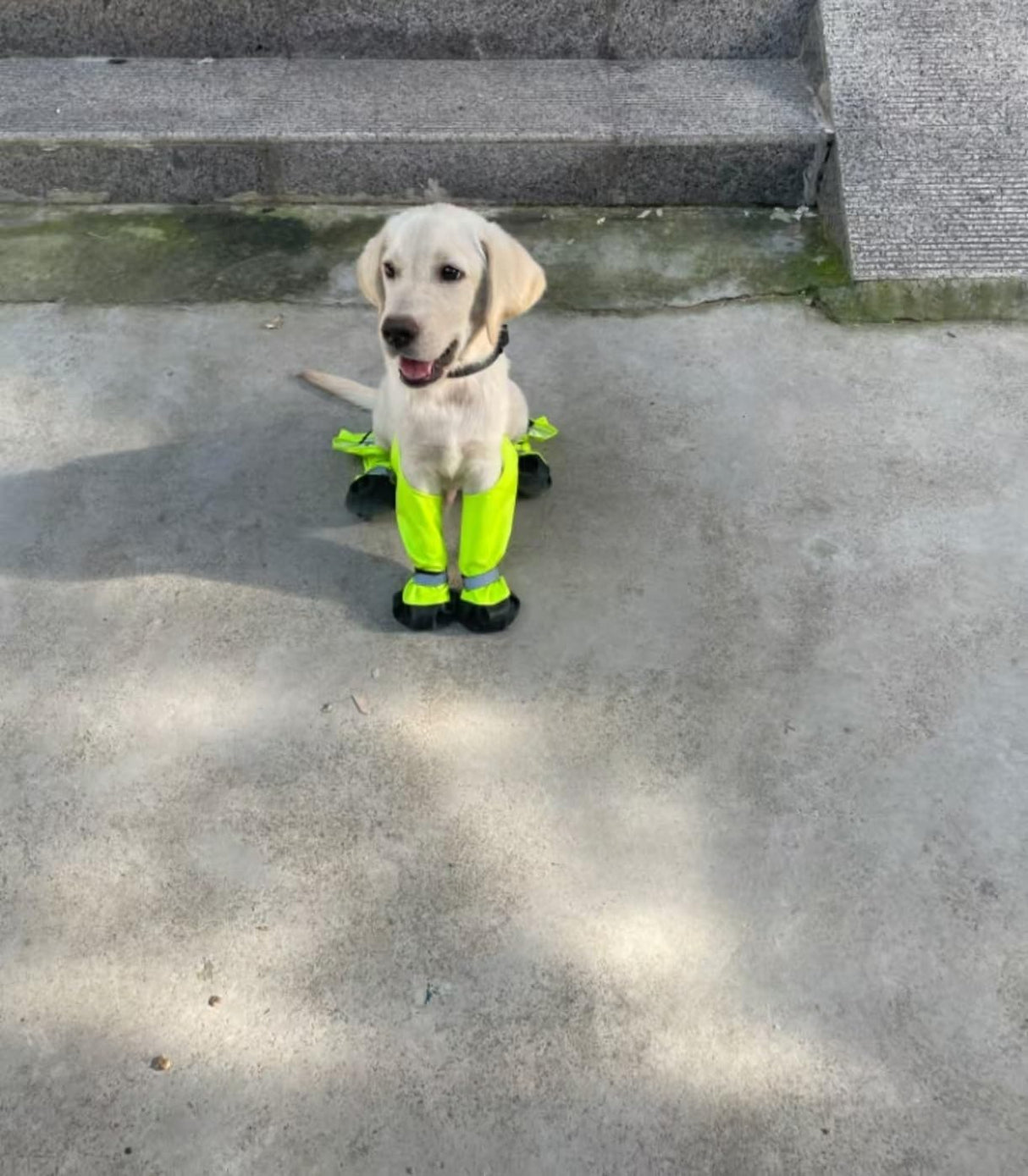Adjustable Dog Suspender Boots with Attached Waterproof Paw Protectors, Non-Slip Summer Hiking Shoes for Rainy Days and Night Safety with Reflective Design (Orange, XS)