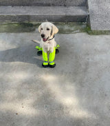 Adjustable Dog Suspender Boots with Attached Waterproof Paw Protectors, Non-Slip Summer Hiking Shoes for Rainy Days and Night Safety with Reflective Design (Orange, XS)