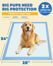 Load image into Gallery viewer, 50-Pack Extra Large Pee Pads - 34" x 28" Puppy Pads for Dogs with 6-Layer Leakproof Protection, Disposable and Quick-Dry Dog Pads with High Absorbency for Easy Potty Training
