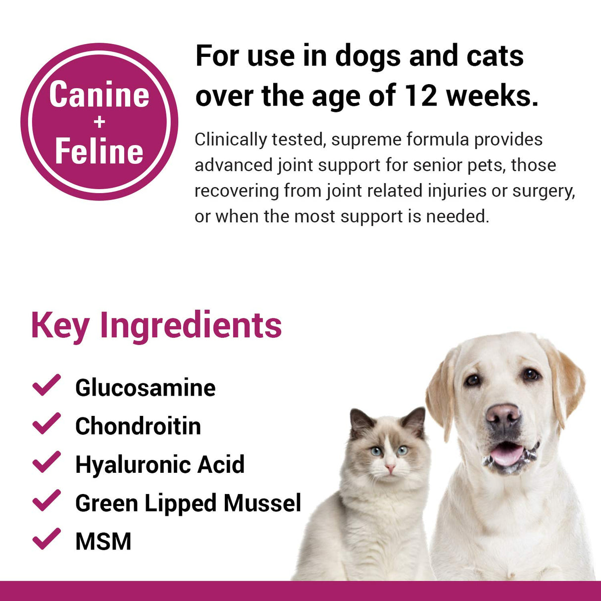 Vet Classics ArthriEase-Gold Hip & Joint Support for Dogs, Cats– Pet Health Supplement Powder – Alleviates Aches, Discomfort – For Flexibility, Healthy Joint Function – Antioxidants – 5 Oz