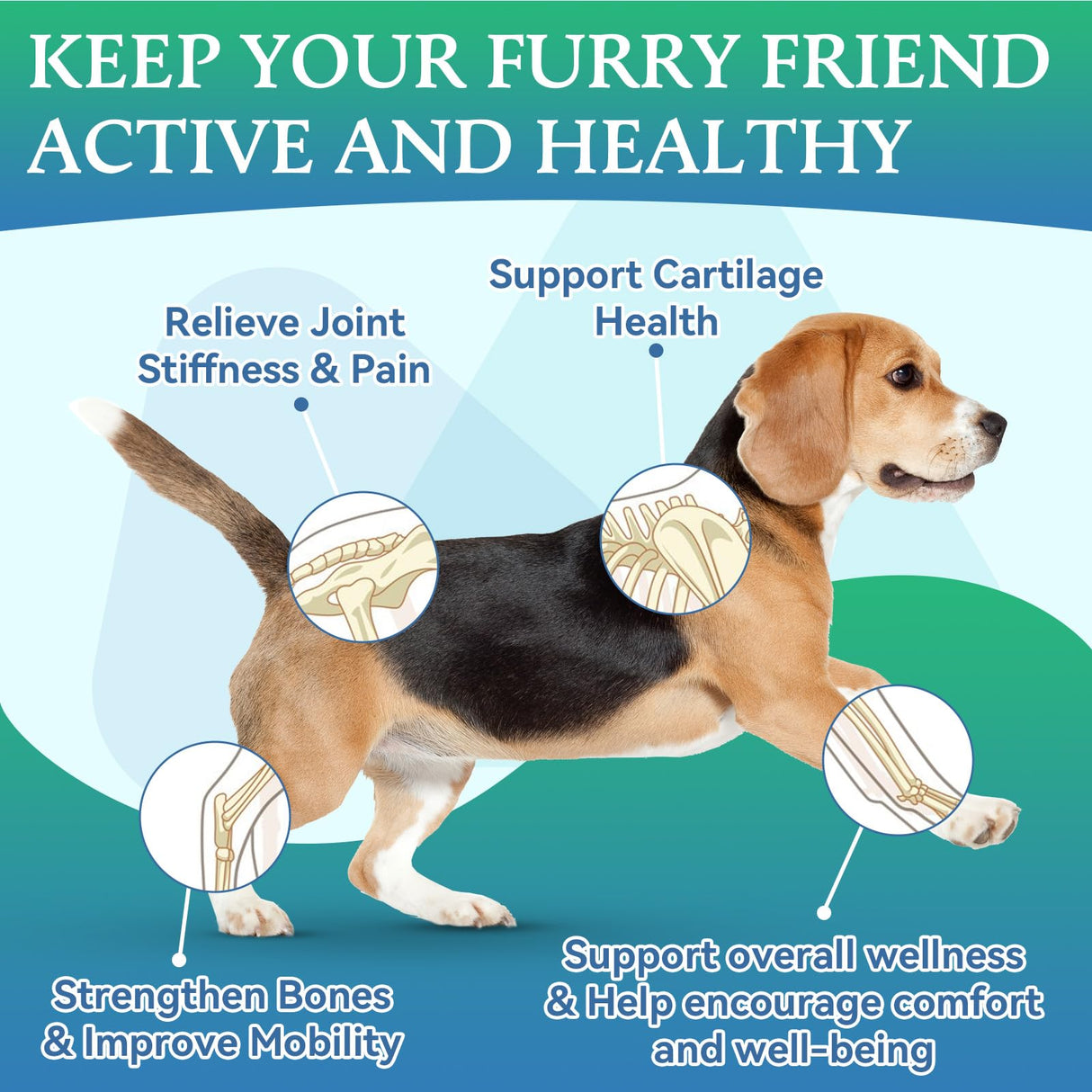 Joint Supplement for Dogs - Dog Joint Supplement Glucosamine Hip and Joint Chondroitin Chews Treats for Dogs with MSM Lipid Mussels Vitamins Dog Joint Support for All Breed 200pcs