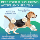 Joint Supplement for Dogs - Dog Joint Supplement Glucosamine Hip and Joint Chondroitin Chews Treats for Dogs with MSM Lipid Mussels Vitamins Dog Joint Support for All Breed 200pcs