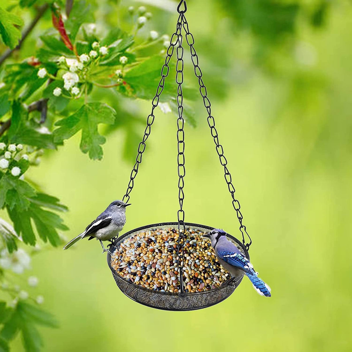 Hanging Bird Feeder, Birdfeeder Hanging for Garden Yard Outside Hanging Bird Feeder Tray - Metal Mesh Platform Feeders for Birds Outside Outdoors Hanging for Attracting Birds, 3Pcs