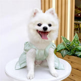 Yaopelky Dog Princess Dress for Small Dogs Cat Bow Dress with D-Ring Dog Girl Wedding Clothes Cute Puppy Tutu Skirt Doggy Summer Costume (Green, Medium(5.5-7.7lb))