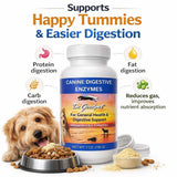 Dr. Goodpet Canine Digestive Enzymes Powder for Dogs – Supports Healthy Digestion, Gas Relief & Nutrient Absorption – Human-Grade Enzymes (Protease, Amylase & Lipase) – 7oz Digestive Supplement