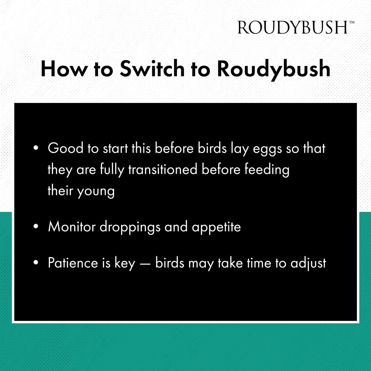RoudyBush California Blend Bird Food, Mini, 10-Pound (210MICB), B113